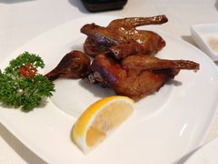 红烧乳鸽-金悦轩海鲜酒家(拱北店)