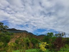 -黄金寨原生态旅游区