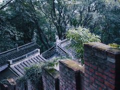 -惠山国家森林公园