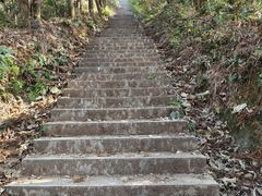 -天花井景区