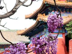 -北京国子监胡同