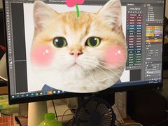 -小树照相馆·证件照(打浦桥店)