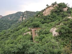 -大岭沟猕猴桃谷风景区