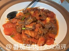 -佬肥猫(国华广场店)