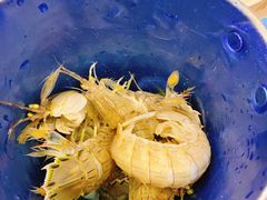 -澜悦港海鲜体验主题餐厅