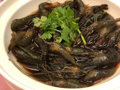 -大方圆酒楼(西门大街店)