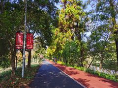 -上海长兴岛郊野公园