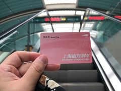 -龙阳路磁悬浮列车总站-停车场