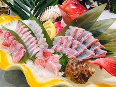 东星斑-海鲨湾海鲜会馆(百家湖1912店)