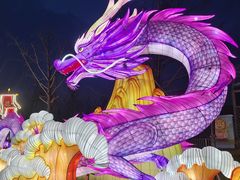 -武汉园博园(武汉自然博物馆)