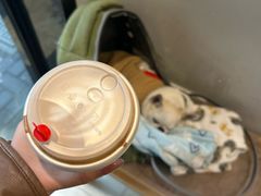 -Joymean coffee.见面咖啡