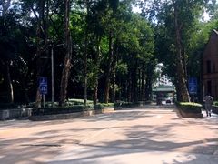 -中山大学学者灵芝(园南路店)