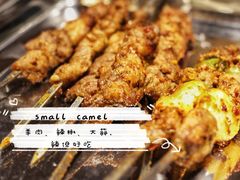 -福苗小骆驼烧烤(莲湖路店)