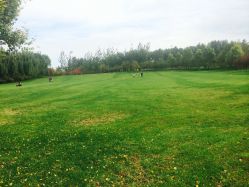 -大望京儿童游乐场