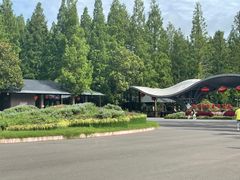 -东平国家森林公园