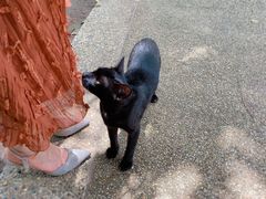 -查龙寺