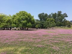 -福建鲤鱼洲酒店