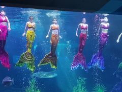 -泉城欧乐堡海洋极地世界