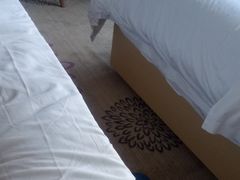 -麗枫酒店(武汉吴家山五环体育中心店)