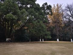 -灵谷景区