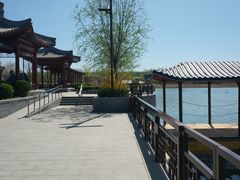 -北京麋鹿生态实验中心