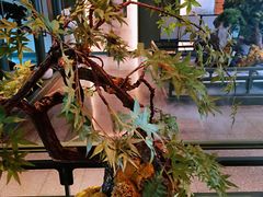 -潮上潮(南中环店)