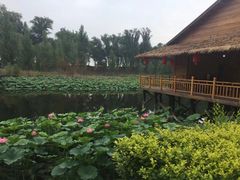 -白洋淀景区