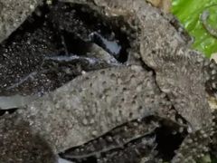 -京门老爆三(回龙观店)