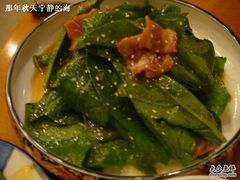 菠菜培根-松子料理(白家庄店)