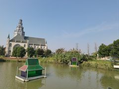 -荷兰花海