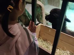 -zoonana室内动物园(东方福来德店)