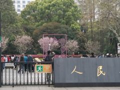 -人民公园-相亲角