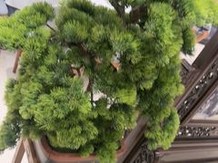 -香丰阁·烤鸭·川湘菜(昌平店)