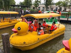 -上海长兴岛郊野公园