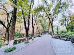 -忠山公园