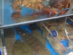 -宾朋海鲜特色美食餐厅·纯手工鲅鱼水饺(兴海路店)