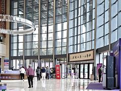 -佛山复星禅诚医院