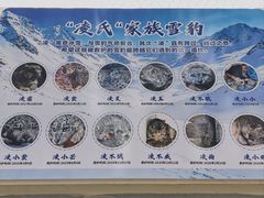 -青藏高原野生动物园
