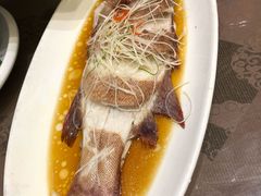 清蒸青斑-海景壹号大酒店(滨湖店)