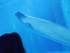 -多彩贵州城极地海洋世界