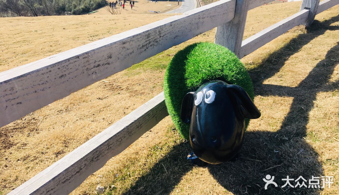 地址： 湖州市安吉县山川乡山川村云上草原 从湖州自驾