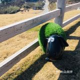 地址： 湖州市安吉县山川乡山川村云上草原 从湖州自驾