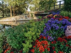 -上海共青森林公园