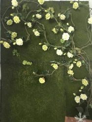 -Sasoo三和秀科技护肤抗衰中心