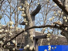 -杭州湖滨in77