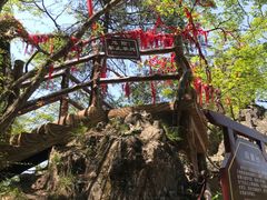 -塔云山