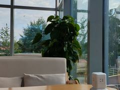 -Cetus coffee鲸鱼座咖啡·拼豆(二仙桥公园店)