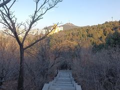 -千佛山风景名胜区