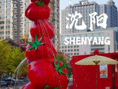 -沈阳铁西万象汇