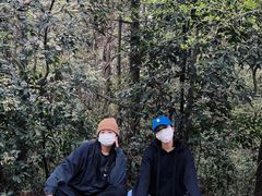 -青龙山国家森林公园